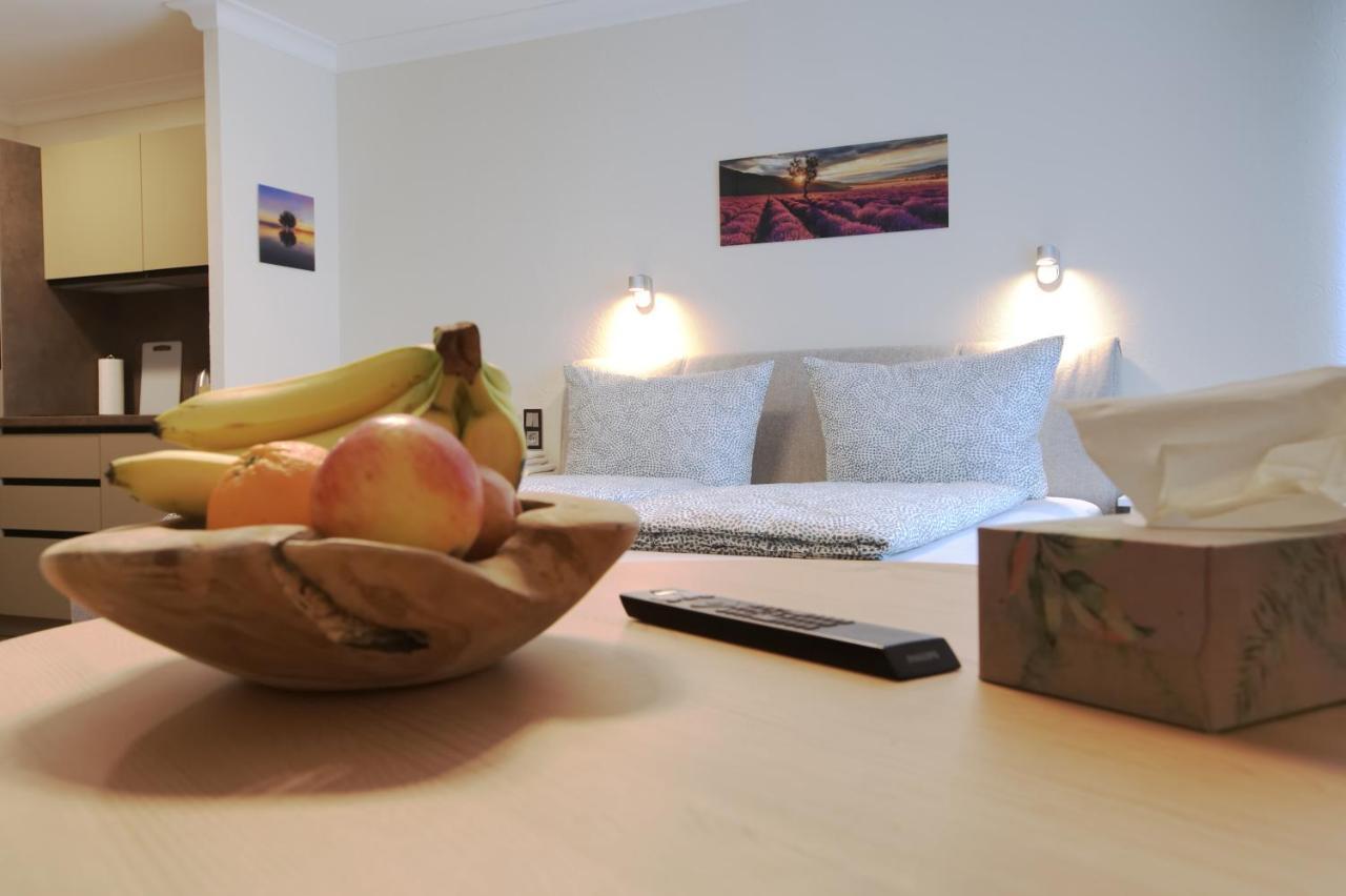 S.F.C. Apartments 特里尔 外观 照片